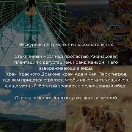 Safari WOW