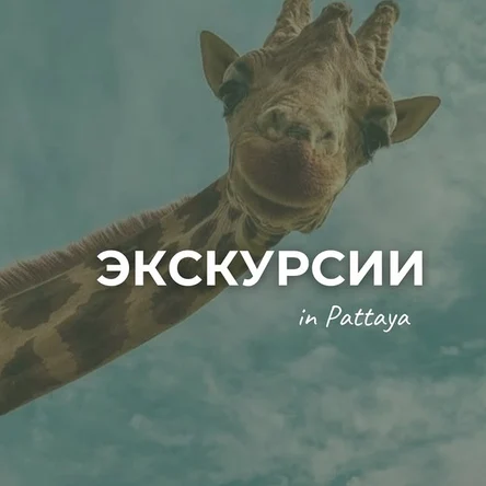 Экскурсии